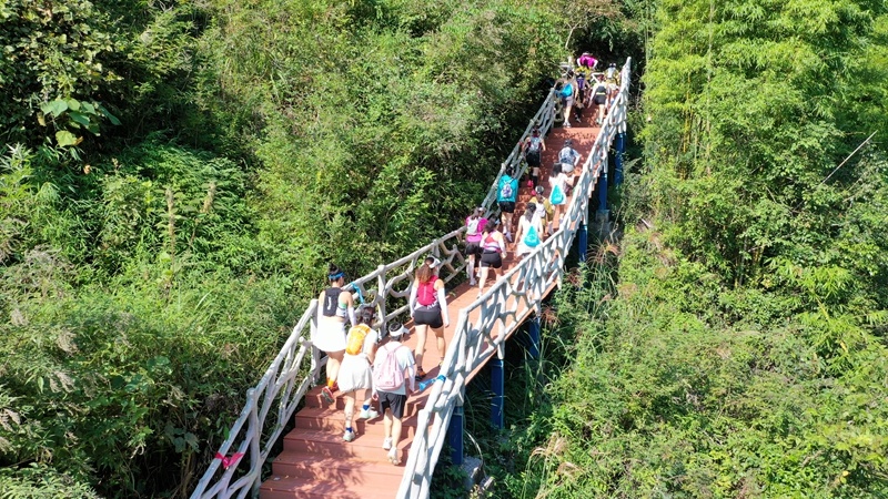 潘佳倩, 本次跑这种, AA